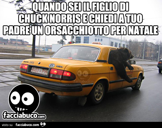 Quando sei il figlio di Chuck Norris e chiedi a tuo padre un orsacchiotto per Natale