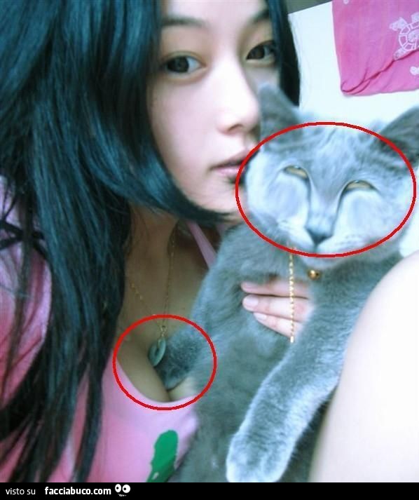Espressione di piacere del gatto mentre le tocca le tette