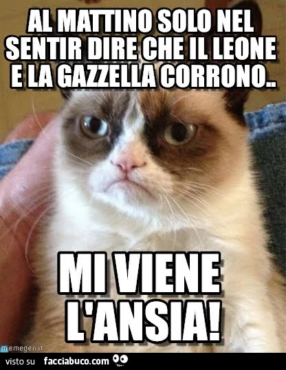 Al mattino solo nel sentir dire che il leone e la gazzella corrono mi viene l'ansia