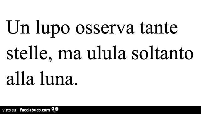 Un lupo osserva tante stelle, ma ulula soltanto alla luna