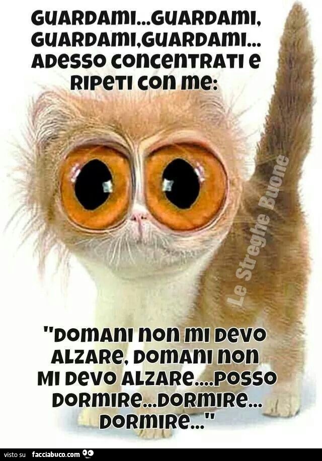 Guardami, guardami, guardami. Adesso concentrati e ripeti con me. Domani non mi devo alzare. Posso dormire
