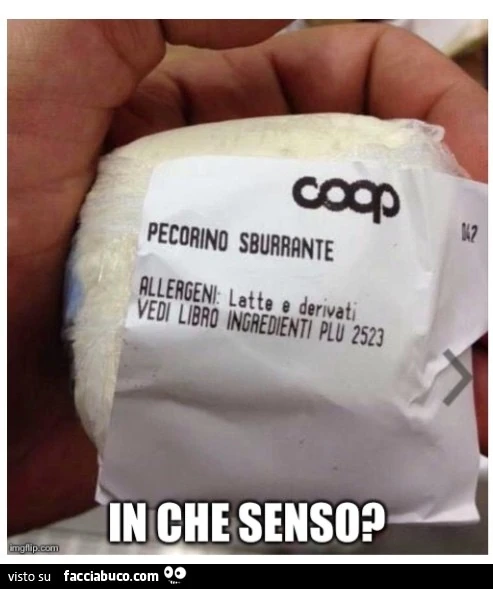 Pecorino Sburrante Coop. In che senso?