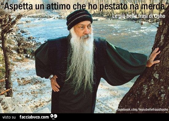 Osho: aspetta un attimo che ho pestato na merda