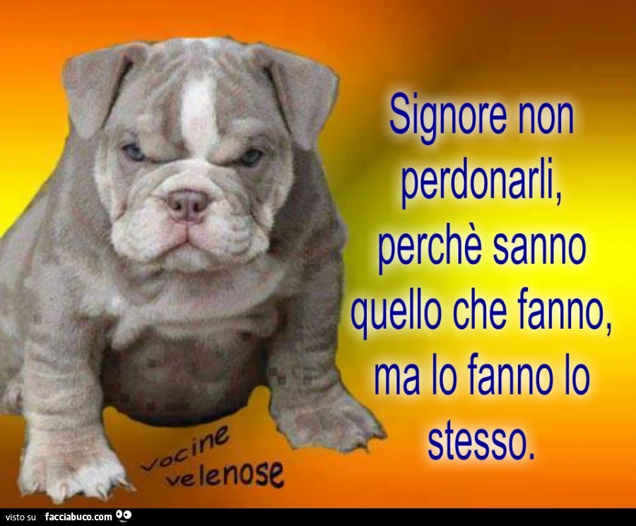 Signore non perdonarli, perchè sanno quello che fanno, ma lo fanno lo stesso