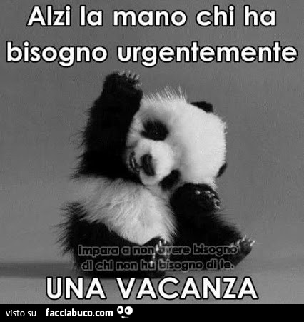 Alzi La Mano Chi Ha Bisogno Urgentemente Di Una Vacanza Facciabuco Com