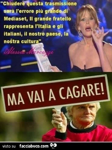 Chiudere questa trasmissione sarà l'errore più grande di Mediaset. Il Grande Fratello rappresenta l'Italia e gli Italiani. Ma vai a cagare
