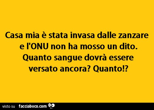 Casa mia è stata invasa dalle zanzare e l'onu non ha mosso un dito. Quanto sangue dovrà essere versato ancora? Quanto!?
