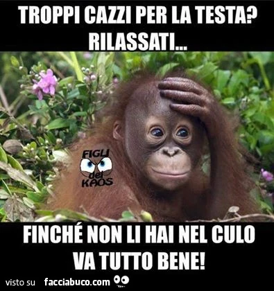 Troppi cazzi per la testa? Rilassati, finchè non li hai nel culo va tutto bene