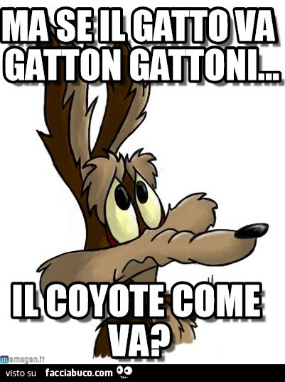 Ma se il gatto va gatton gattoni il coyote come va?
