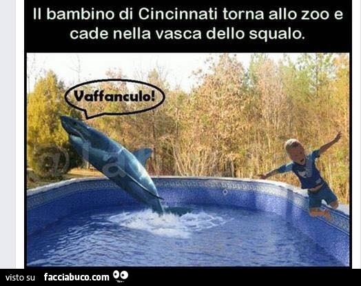 Il bambino di Cincinnati torna allo zoo e cade nella vasca dello squalo. Vaffanculo