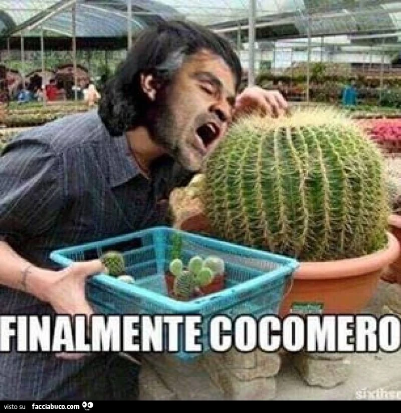Vaccata