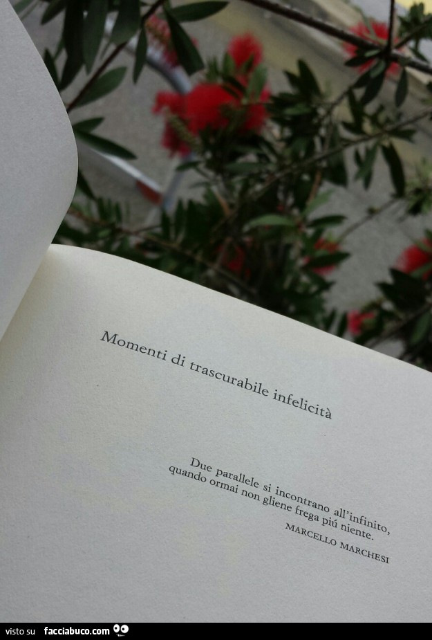 Momenti di trascurabile infelicità. Due parallele si incontrano all'infinito quando ormai non gliene frega più niente