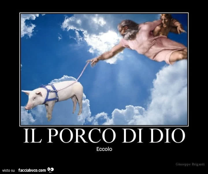 Il porco di Dio eccolo