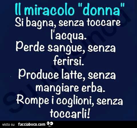 Il miracolo donna: si bagna senza toccare l'acqua. Perde sangue senza ferirsi. Produce latte senza mangiare erba. Rompe i coglioni senza toccarli
