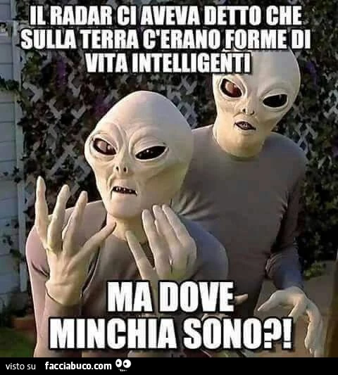 Il radar ci aveva detto che sulla terra c'erano forme di vita intelligenti. Ma dove minchia sono?