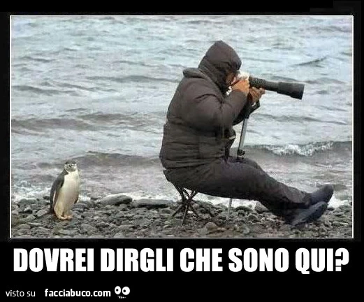 Dovrei dirgli che sono qui?