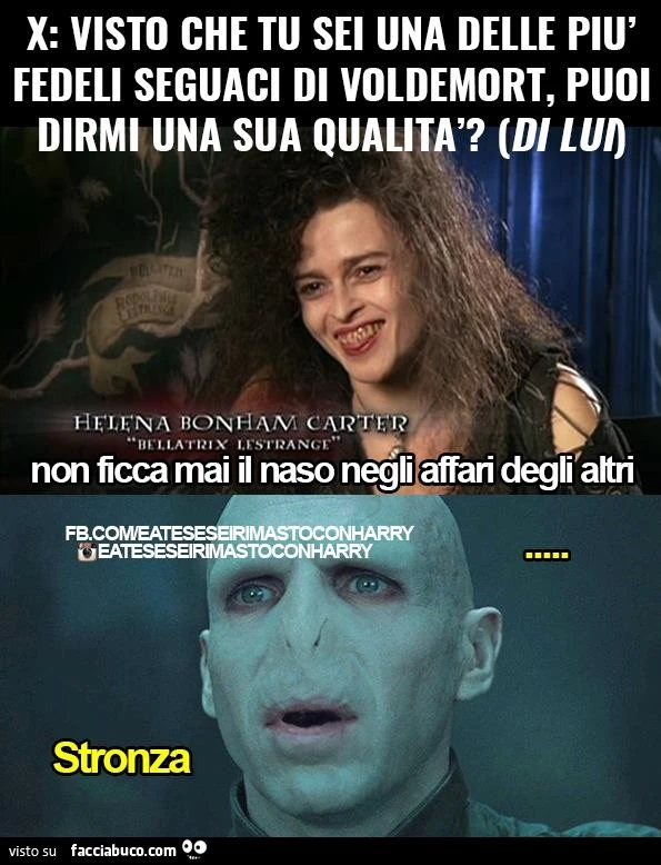 Visto che tu sei una delle più fedeli seguaci di Voldemort, puoi dirmi una sua qualità? Non ficca mai il naso negli affari degli altri. Stronza