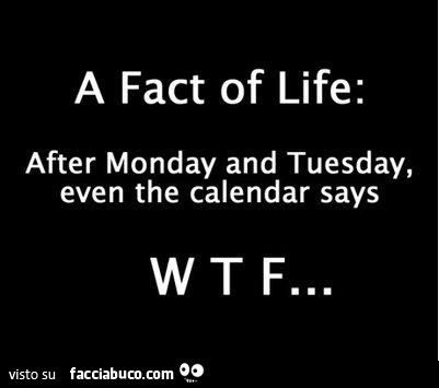 A fact of life: after Monday and Tuesday, even the calendar says WTF