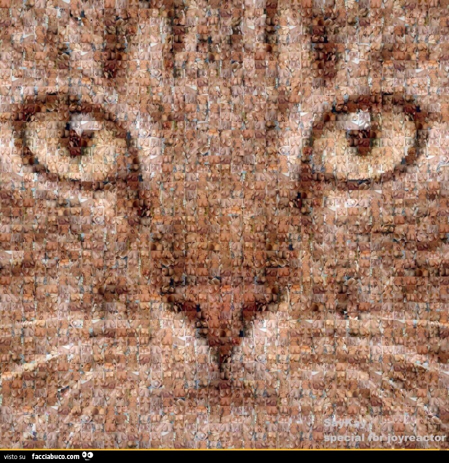 Mosaico gatto realizzato con foto di tette