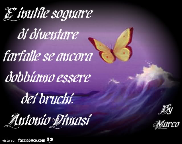 È inutile sognare di diventare farfalle se ancora dobbiamo essere dei bruchi