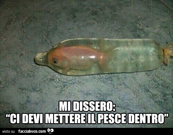 Mi dissero: ci devi mettere il pesce dentro