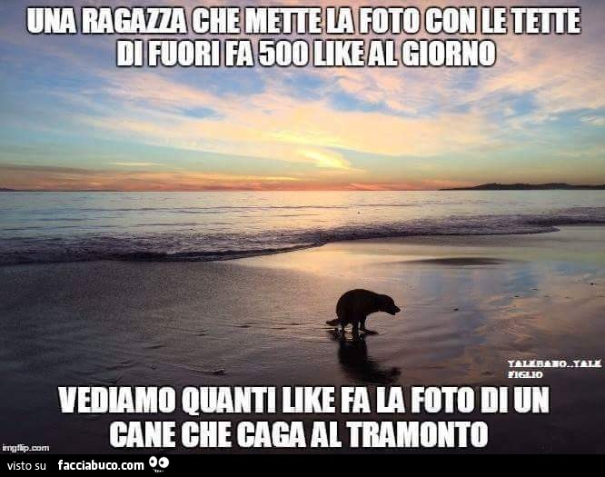 Una ragazza che mette la foto con le tette di fuori fa 500 like al giorno. Vediamo quanti like fa la foto di un cane che caga al tramonto