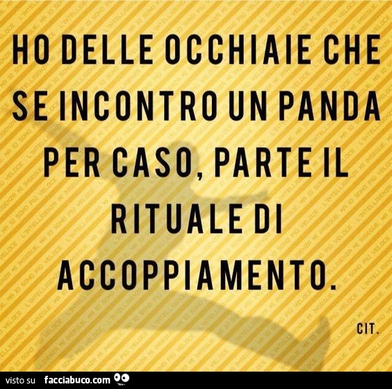 Ho delle occhiaie che se incontro un panda per caso, parte il rituale di accoppiamento