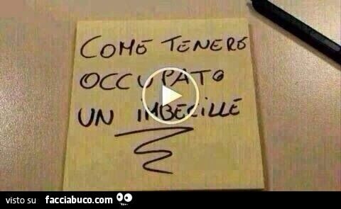 Come tenere occupato un imbecille