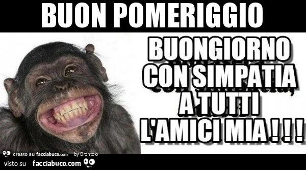 Buon pomeriggio