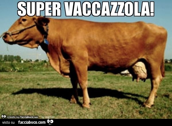 Vaccata