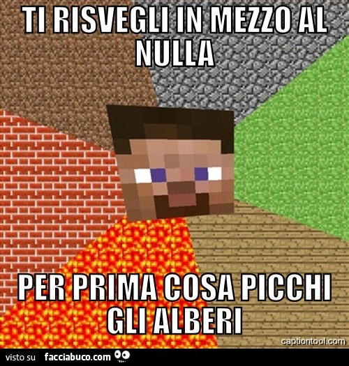 Ti risvegli in mezzo al nulla, per prima cosa picchi gli alberi