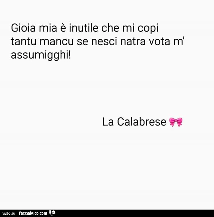 Gioia mia è inutile che mi copi tantu mancu se nesci natra vota m'assumigghi