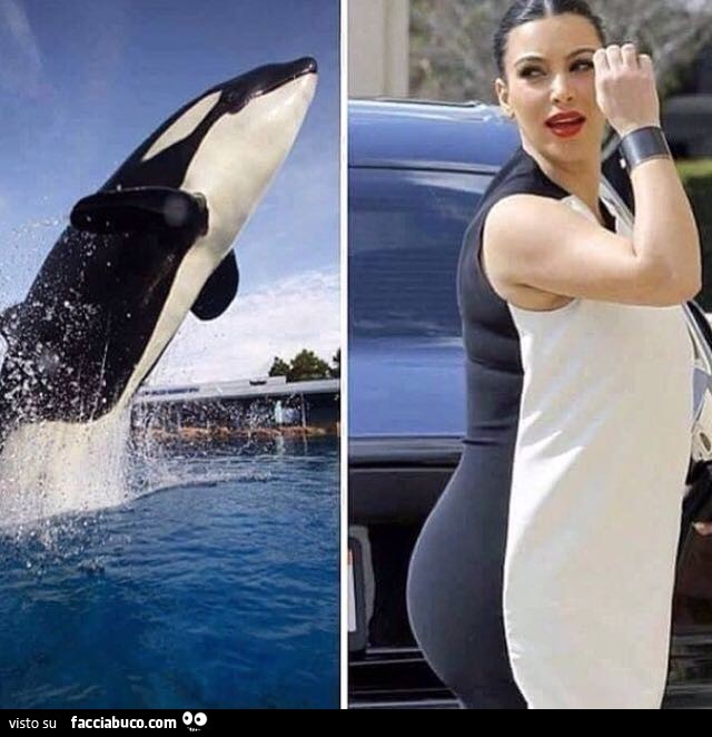 Orca come Kim Kardashian