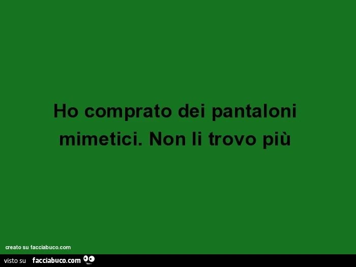 Ho comprato dei pantaloni mimetici. Non li trovo più