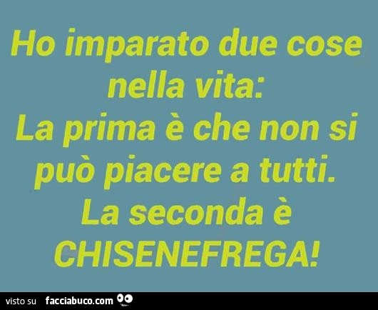 Ho imparato due cose nella vita: la prima è che non si può piacere a tutti. La seconda è chisenefrega