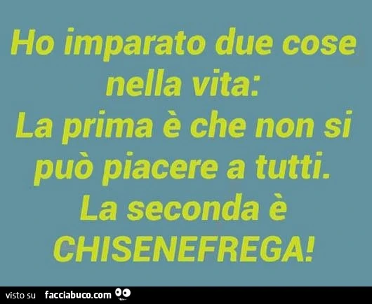 Ho imparato due cose nella vita: la prima è che non si può piacere a tutti. La seconda è chisenefrega
