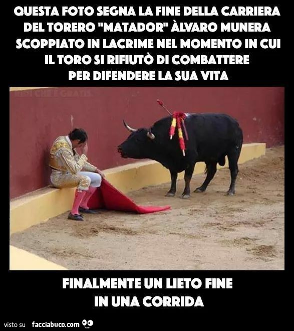 Questa foto segna la fine della carriera del torero Matador Alvaro Munera scoppiato in lacrime nel momento in cui il toro si rifiutò di combattere per difendere la sua vita. Finalmente un lieto fine in una corrida