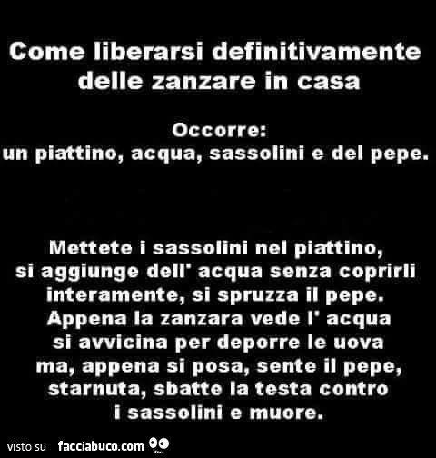 Come liberarsi definitivamente delle zanzare in casa. Occorre: un piattino, acqua, sassolini e del pepe
