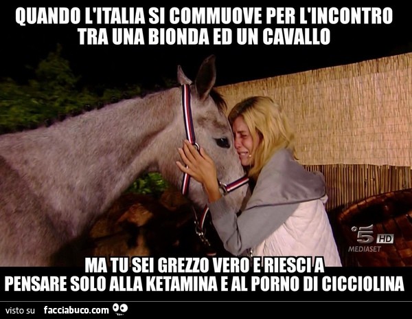 Quando l'Italia si commuove per l'incontro tra una bionda ed un cavallo, ma tu sei grezzo vero e riesci a pensare solo alla ketamina e al porno di Cicciolina