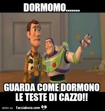 Dormono&hellip; guarda come dormono le teste di cazzo
