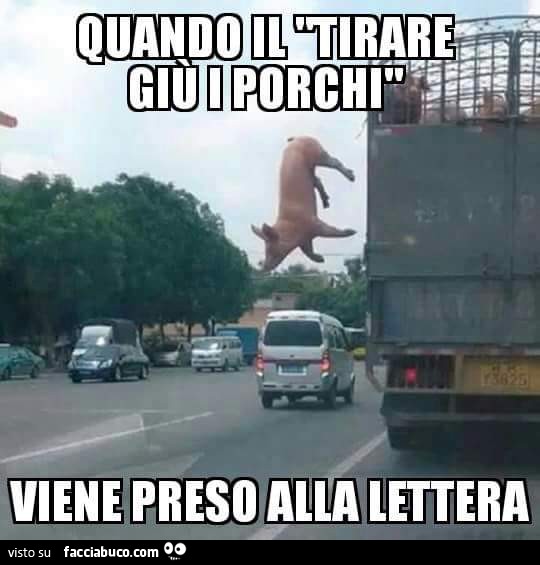 Quando il tirare giù i porchi viene preso alla lettera