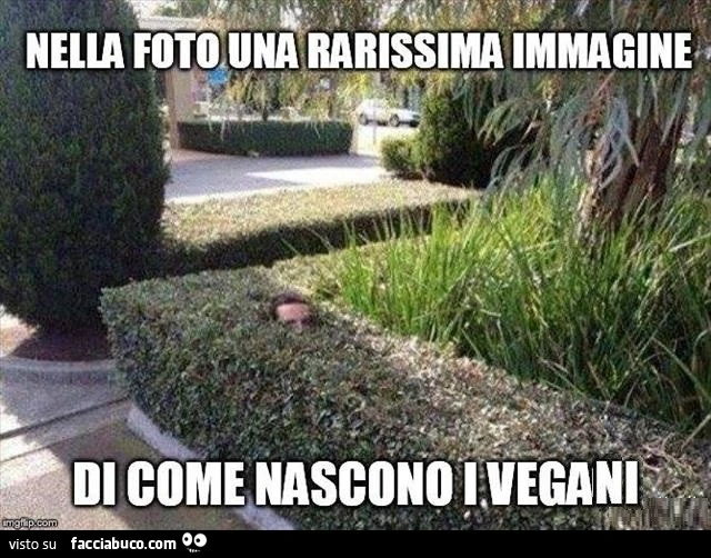 Nella foto una rarissima immagine di come nascono i vegani