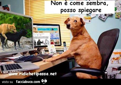 Non è come sembra, posso spiegare