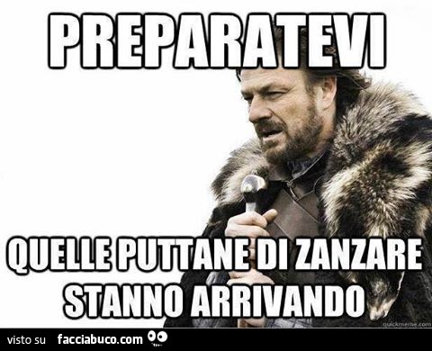 Preparatevi, quelle puttane di zanzare stanno arrivando