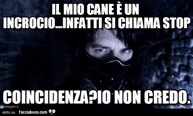 Il mio cane è un incrocio, infatti si chiama Stop. Coincidenza? Io non credo