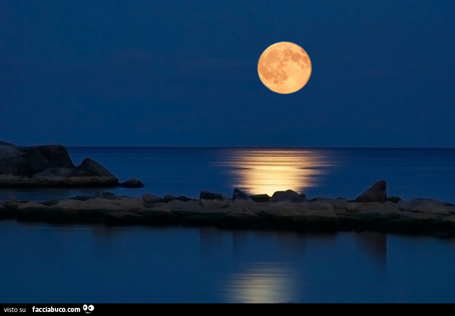 Fantastica luna piena illumina il mare e i suoi sentieri