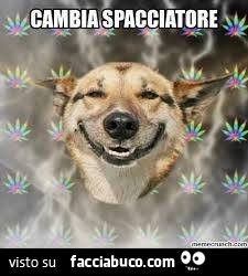 Vaccata