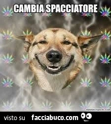 Vaccata