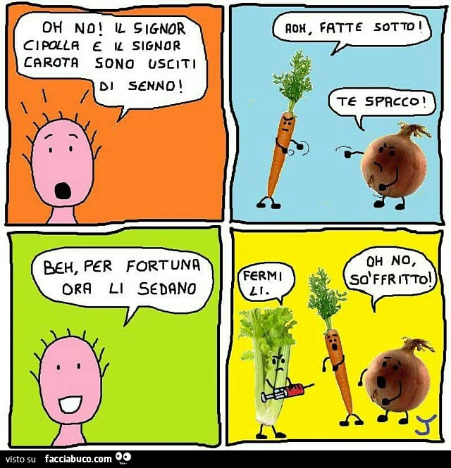 Sedano carota cipolla