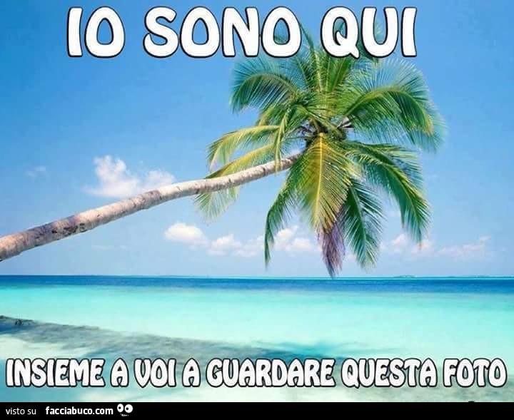 Io sono qui insieme a voi a guardare questa foto